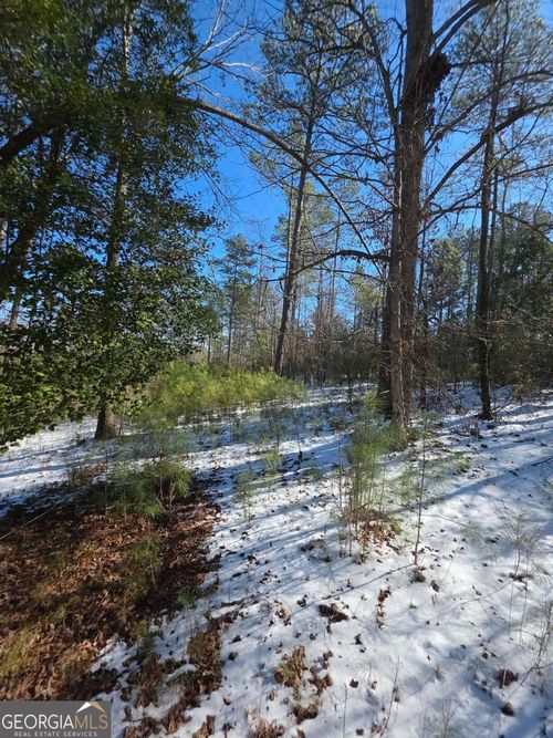 LOT 56 Hornets Bridge Rd, Elberton, GA, 30635 | Card Image