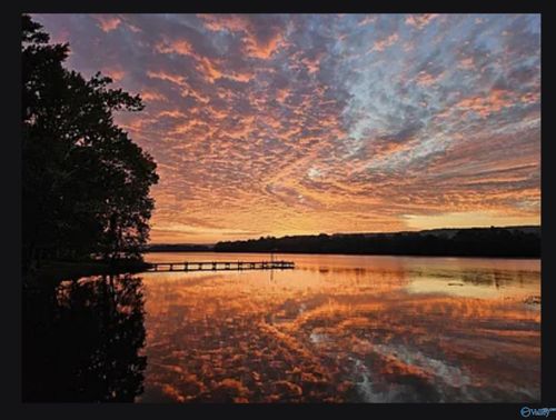 319 River Dr, Hollywood, AL, 35752-6506 | Card Image