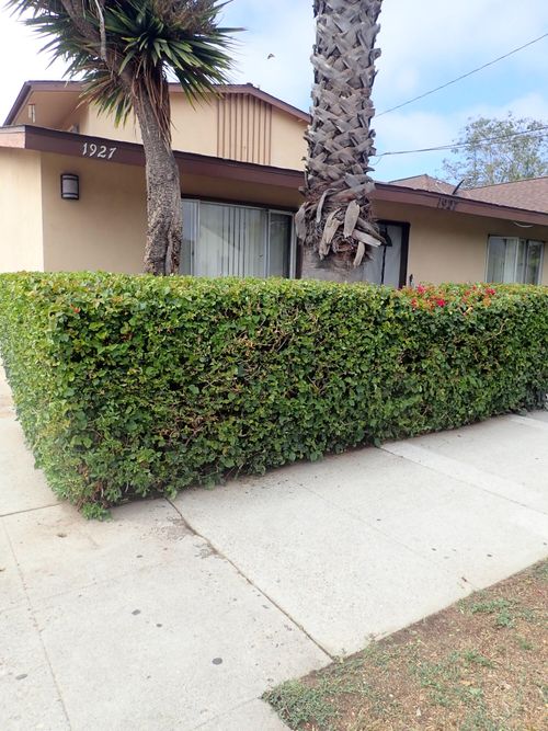 3-1927 Castillo St, Santa Barbara, CA, 93101-2848 | Card Image