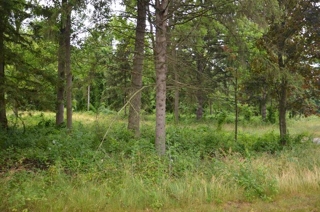 15564 S M 43 Hwy, Home with 0 bedrooms, 0 bathrooms and null parking in Hickory Corners MI | Image 9