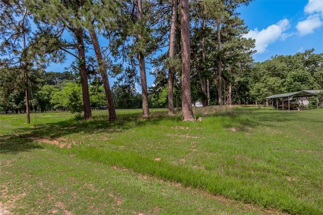 15 Hermitage, Home with 0 bedrooms, 0 bathrooms and null parking in Trinity TX | Image 8