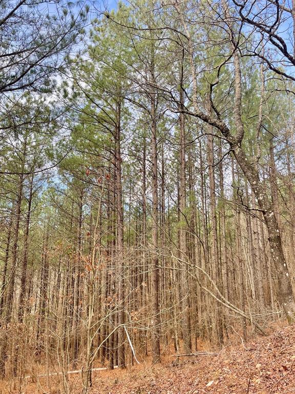 Land in Broken Bow 4