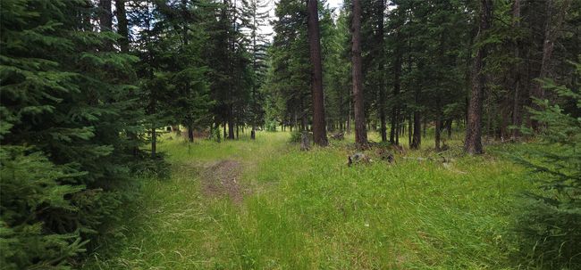 1720 Coon Hollow Rd, Home with 0 bedrooms, 0 bathrooms and null parking in Kila MT | Image 14