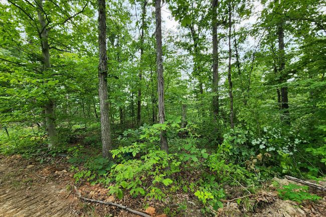 TRACT-3 - 0 Back Run Rd, Home with 0 bedrooms, 0 bathrooms and null parking in Philo OH | Image 25