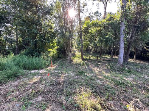 0 Whitehorse Ln, Willis, TX, 77378 | Card Image