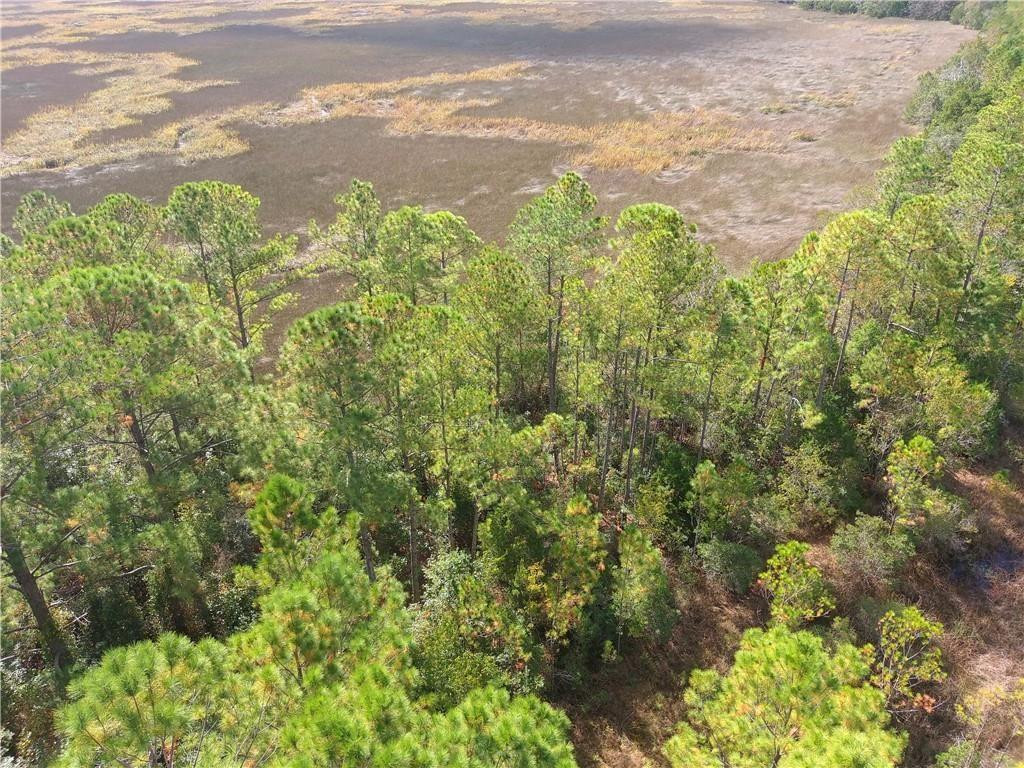 Land in White Oak 3