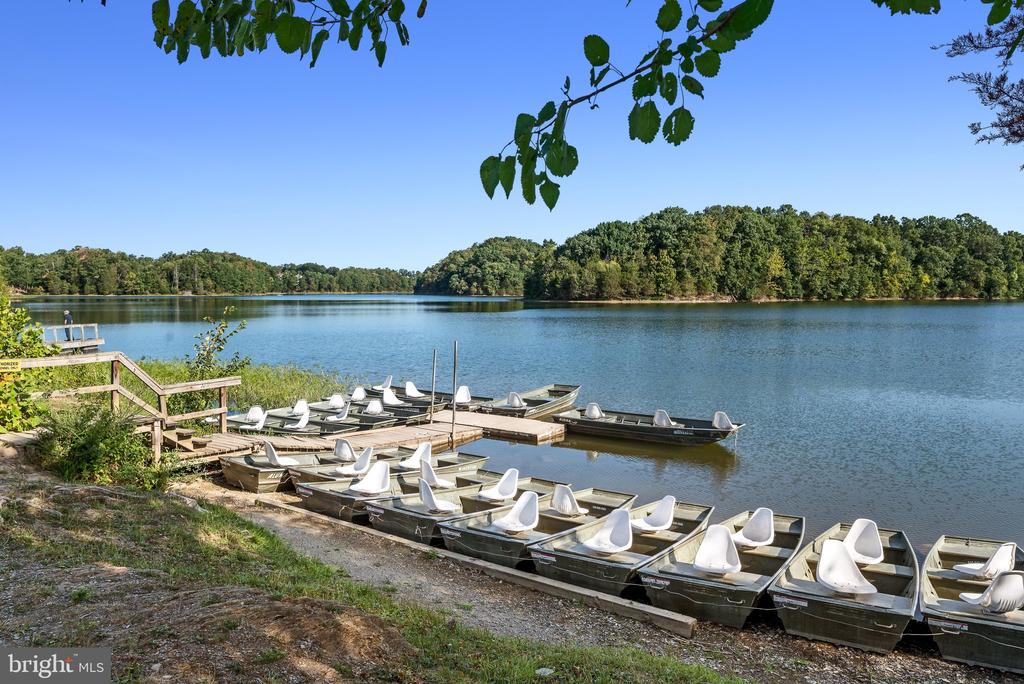 Residential in LAKE FREDERICK 4
