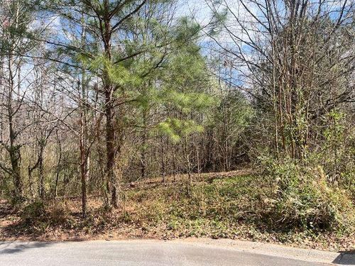 78 Heights Holw, Acworth, GA, 30101-8715 | Card Image