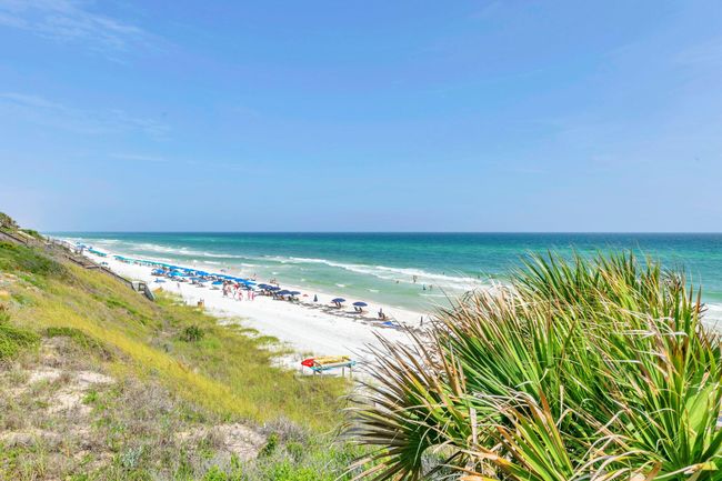 5-web-or-mls-0L7A0476 | Image 39