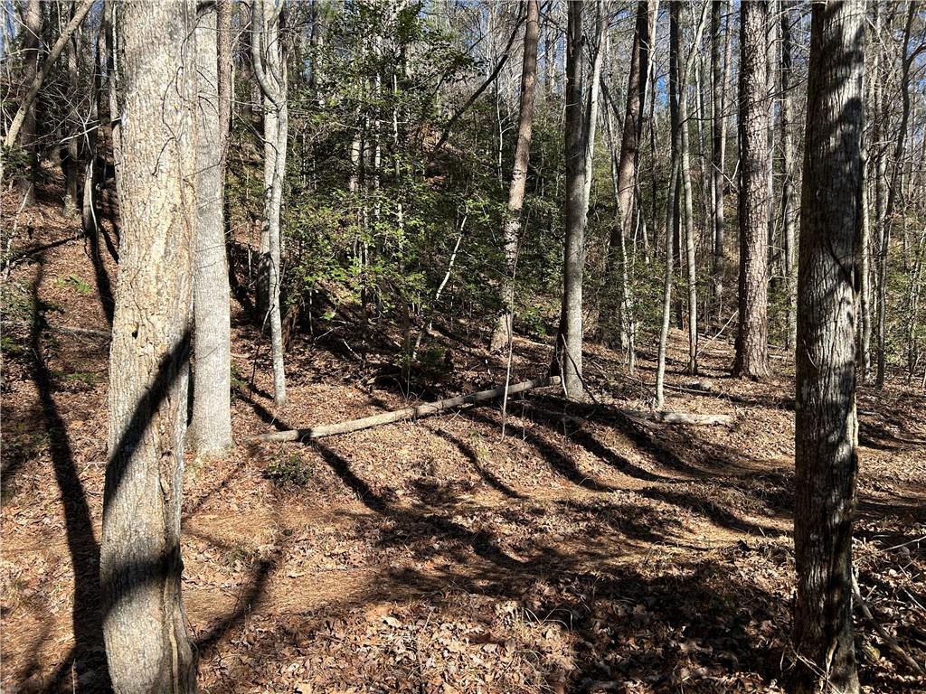 Land in Demorest 3