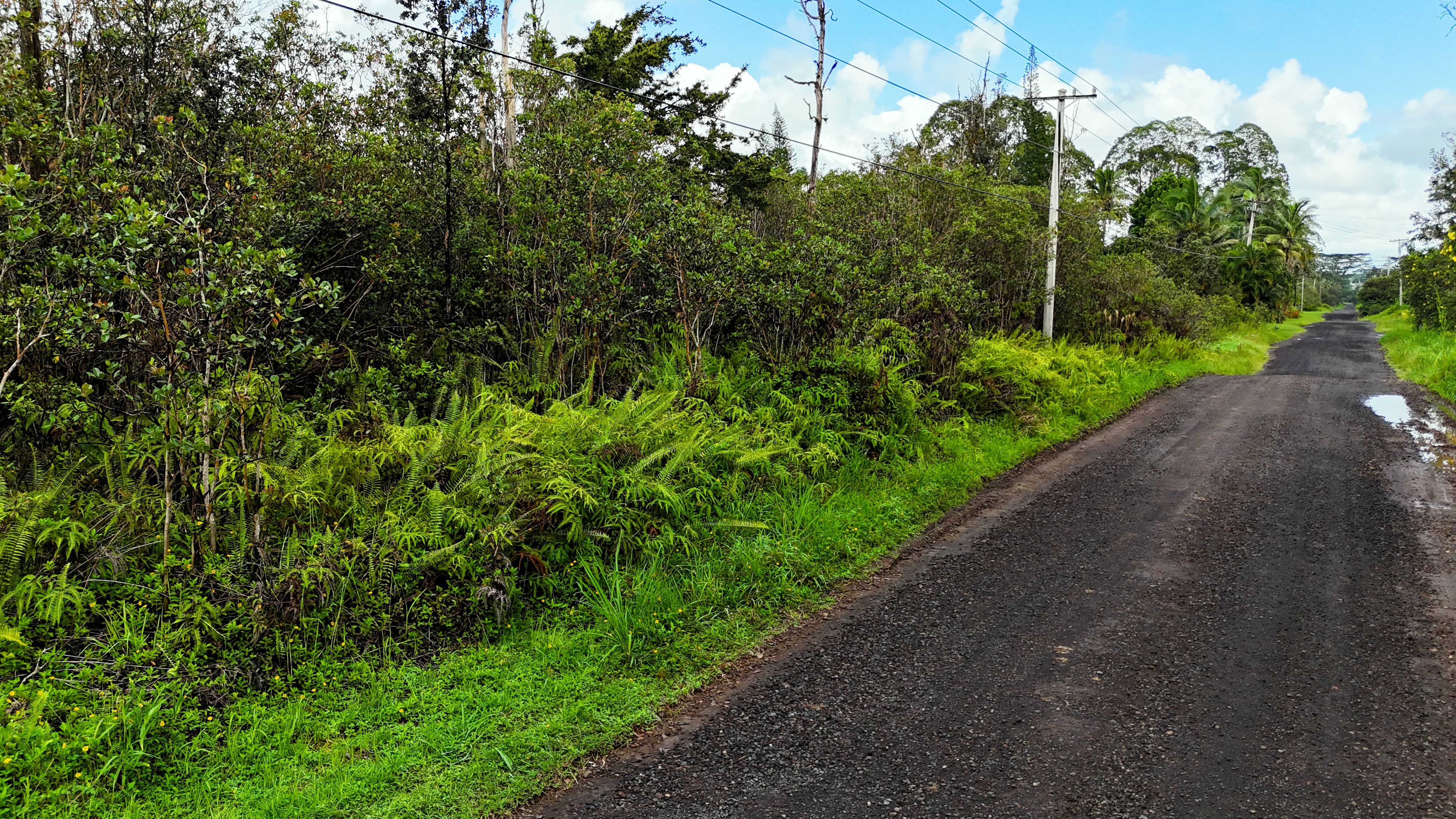 Land in Keaau 4
