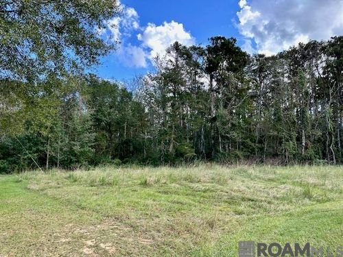19348 Plantation Trace Dr, Livingston, LA, 70754-5049 | Card Image