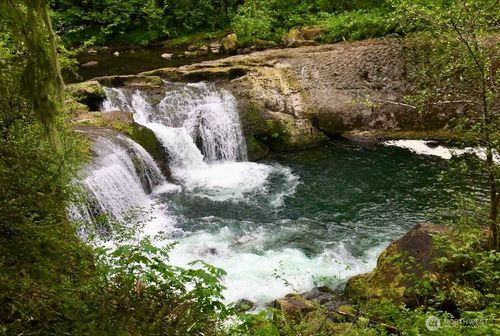 100 L-1100, Yacolt, WA, 98675 | Card Image