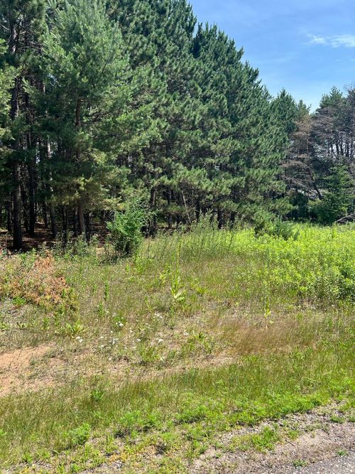TBD Thomas Dr, Little Falls, MN, 56345 | Card Image