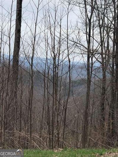 LT 281 Andes Ridge, Home with 0 bedrooms, 0 bathrooms and null parking in Ellijay GA | Image 2