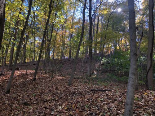 710 Apel Rd, Franklin Furnace, OH, 45629-8947 | Card Image