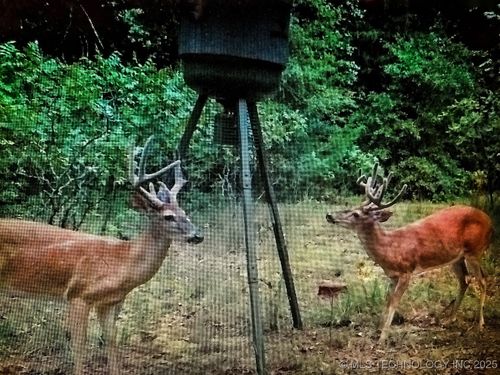 5811 W Folsom Rd, Caddo, OK, 74729-5020 | Card Image