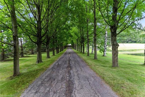 561 Concession Rd 7, Millgrove, ON, L8B1T8 | Card Image