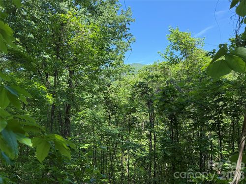 1-0 Buffalo Shoals Rd, Lake Lure, NC, 28746 | Card Image