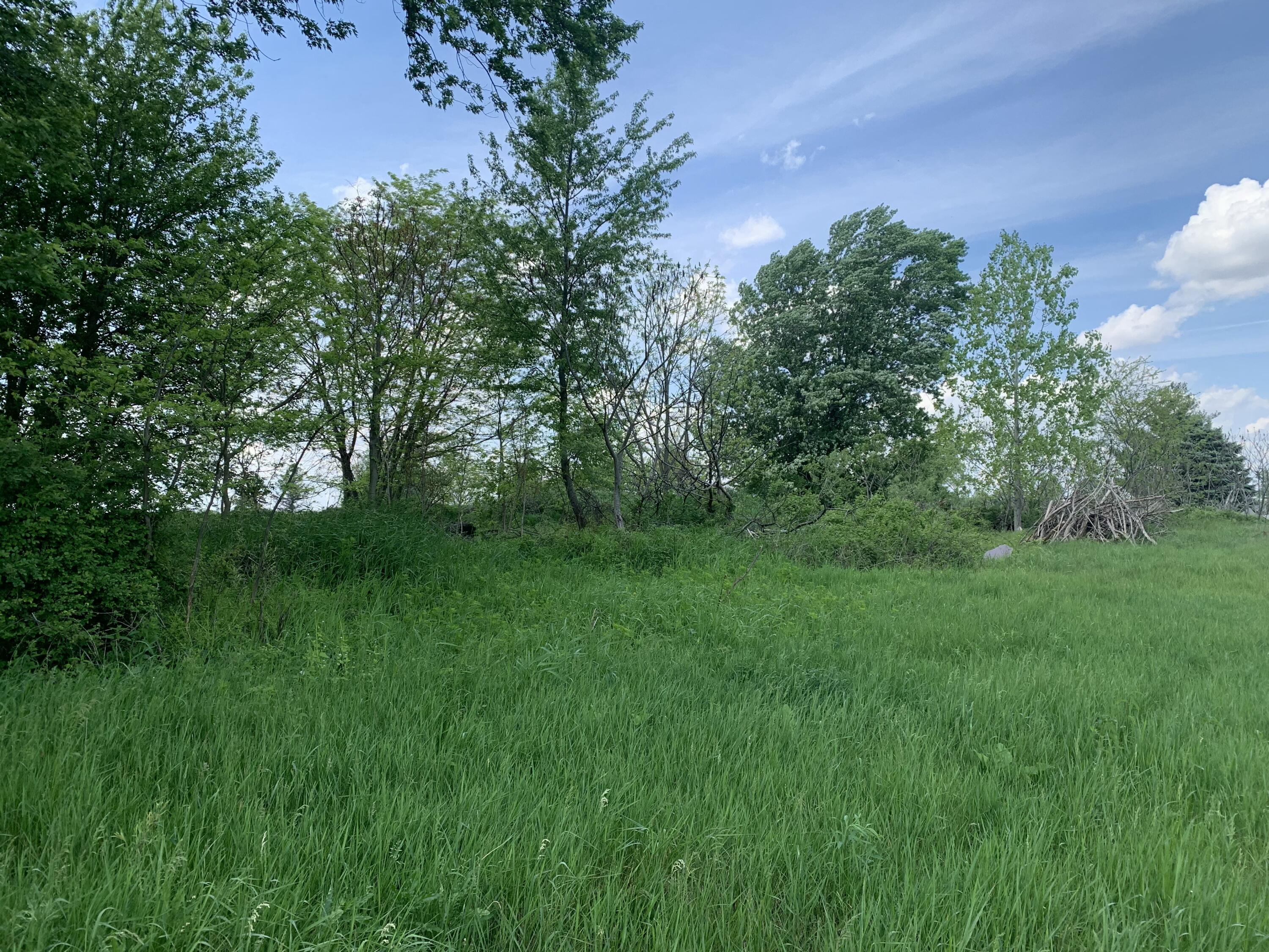 Land in Bronson 2