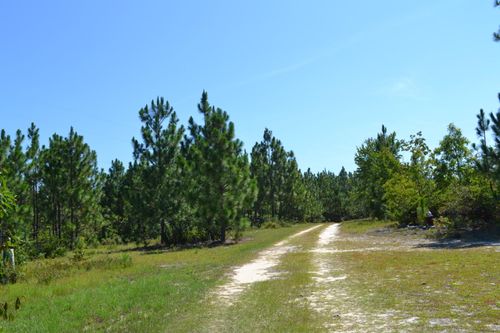 5308 Enigma Dr, Windsor, SC, 29856-2198 | Card Image