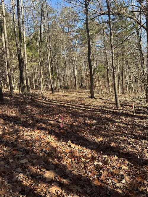 2 Lower River Rd Nw, Charleston, TN, 37310 | Card Image