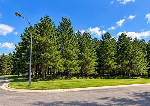 TBD Emerald Dr Ne, Alexandria, MN, 56308 | Card Image