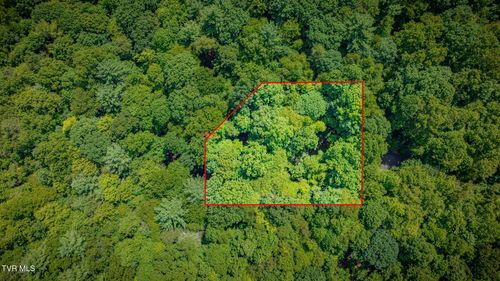 Lot 13 Black Bear Dr, Butler, TN, 37640 | Card Image
