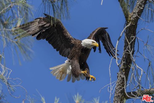 41924 Patrick Ave, Coarsegold, CA, 93614-8997 | Card Image