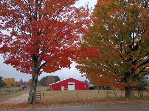 6154 Satterly Lake Rd, Mancelona, MI, 49659-9716 | Card Image