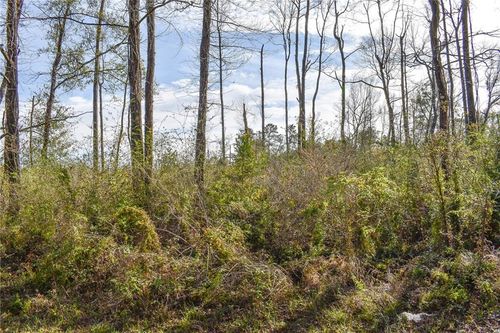  Old Genessee Road, Tangipahoa, LA, 70465 | Card Image