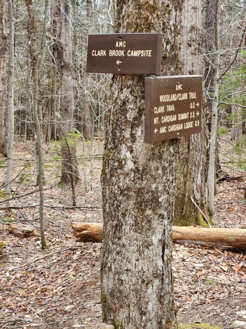 0 Clarks/Woodland Trail, Alexandria, NH, 03220 | Card Image