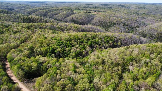000 Holmes Rd, Home with 0 bedrooms, 0 bathrooms and null parking in Mountain View AR | Image 12