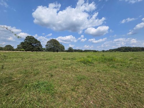 000 Highway 181, Cabool, MO, 65689 | Card Image