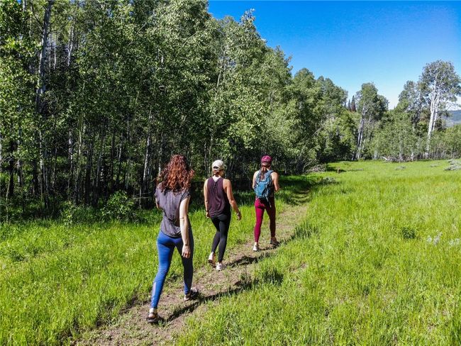 Keep your body and mind fit through scenic and quiet hiking through our 900-acre wildlife sanctuary | Image 11