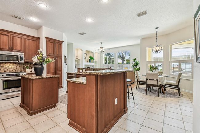 10203 Shadow Branch Dr, House other with 4 bedrooms, 3 bathrooms and null parking in TAMPA FL | Image 16