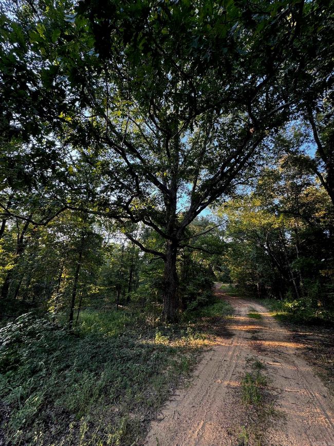 192 Sweet Gum Holw, Home with 0 bedrooms, 0 bathrooms and null parking in Rose Bud AR | Image 26