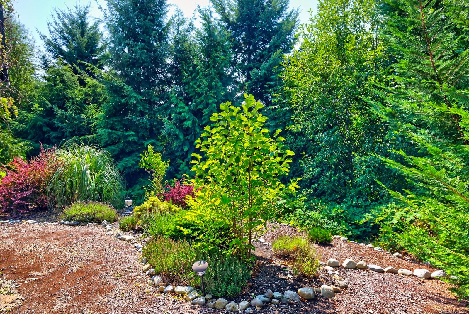 Residential in Lake Cowichan 5