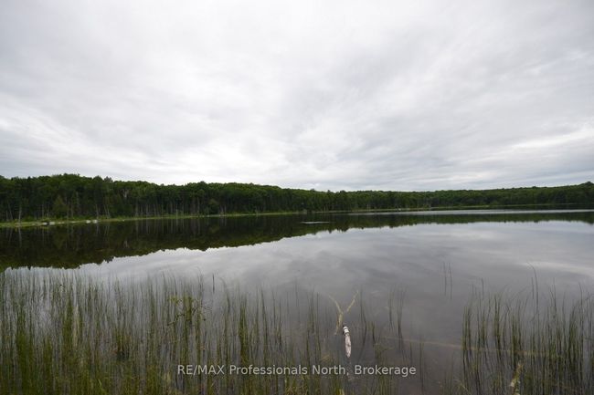 0 Harburn Rd, Home with 0 bedrooms, 0 bathrooms and null parking in Haliburton ON | Image 26
