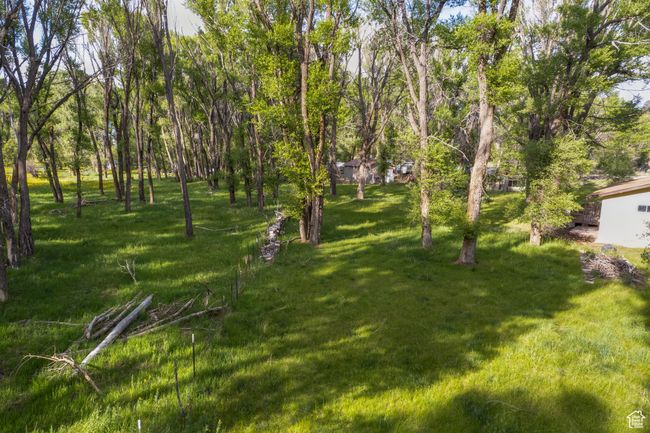 View of grassy yard | Image 30