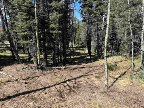 1521 El Camino Real, Angel Fire, NM, 87710 | Card Image