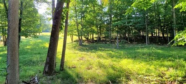 20220620_081730 | Image 39
