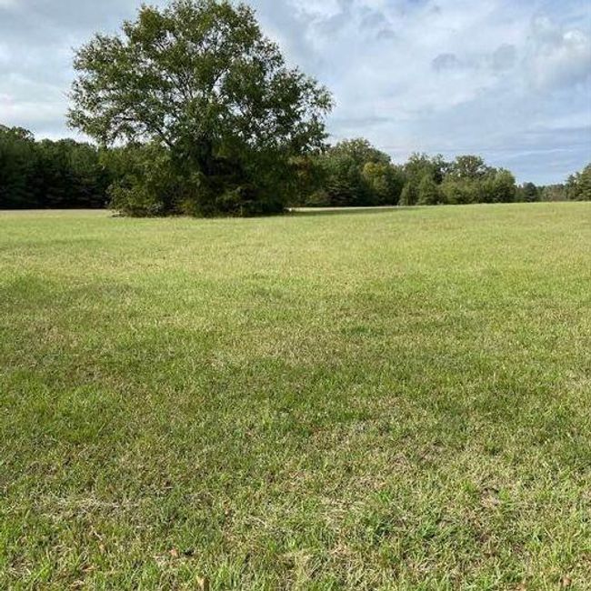 0 Highway 41 S, Home with 0 bedrooms, 0 bathrooms and null parking in Foreman AR | Image 4