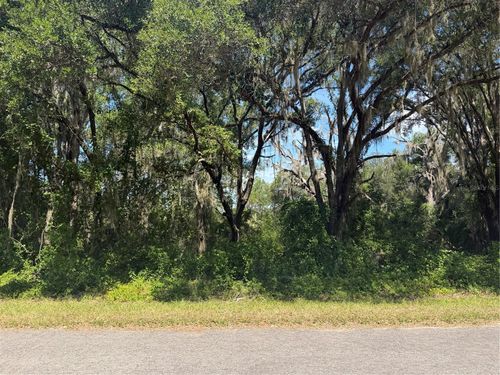 TBD Guava Terrace Radl, OCKLAWAHA, FL, 32179 | Card Image