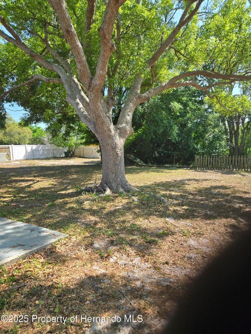 1049 Barlow Ct, SPRING HILL, FL, 34606-5602 | Card Image