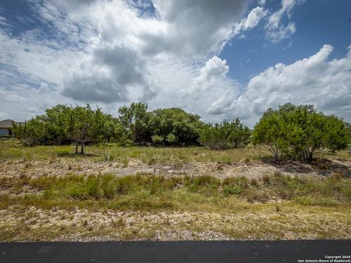 162 Scarlet Ct, Canyon Lake, TX, 78133-4916 | Card Image