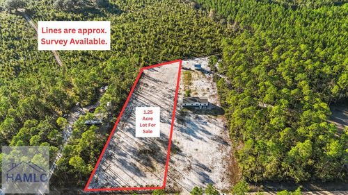 6432 Mount Pleasant Rd, Hortense, GA, 31543-8317 | Card Image