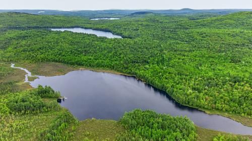 Lot# Bucksmills Rd, Bucksport, ME, 04416 | Card Image