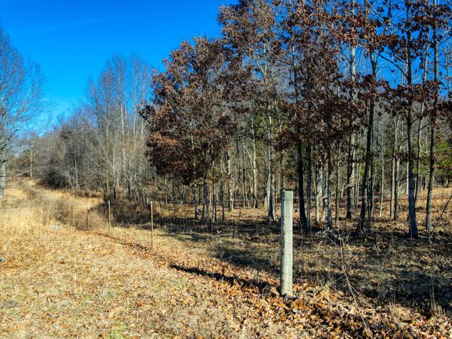 0 Old Jones Easement, Home with 0 bedrooms, 0 bathrooms and null parking in Adolphus KY | Image 12