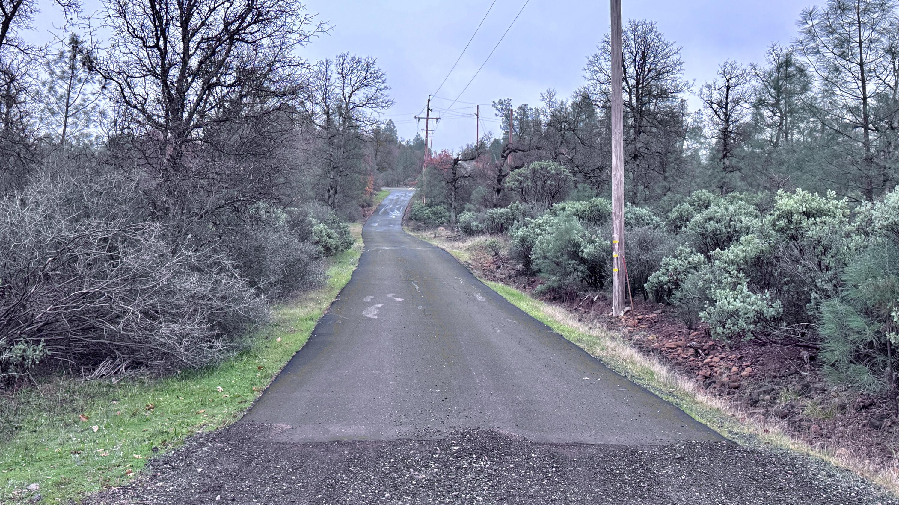 Land in Montgomery Creek 3